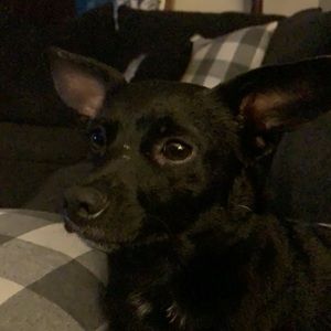 Meet your Posher, Dawna